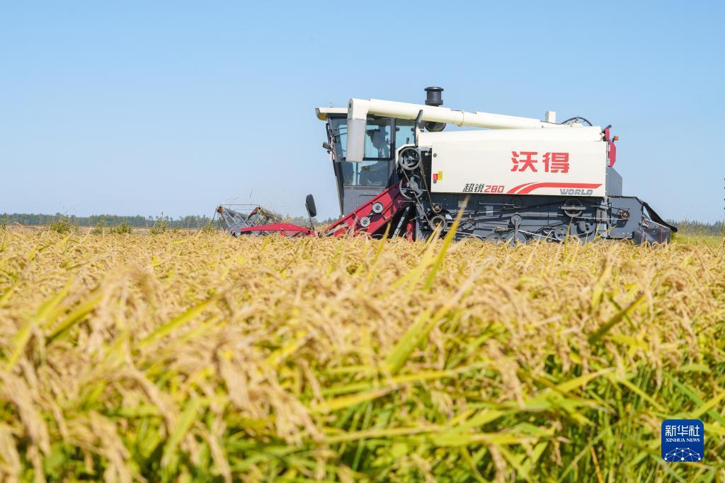 环亚注册地址